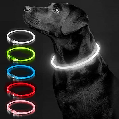 Light up LED dog collar for night walks — My Petsworth
