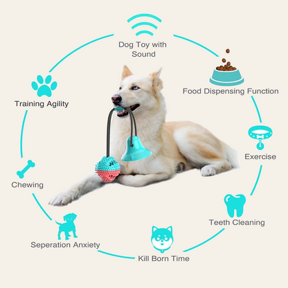 Interactive dog chew toy with suction cup base — My Petsworth
