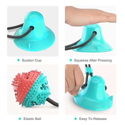 Interactive dog chew toy with suction cup base — My Petsworth