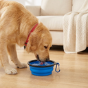 collapsible travel bowls, set of 3, for dogs & cats, lifestyle photo