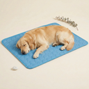 Dog Cooling Mat Extra Large - Golden Retriever resting on blue cooling mat - My Petsworth