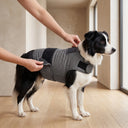 Grey dog anxiety vest shown from the side — My Petsworth