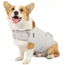 Dog anxiety vest with hook-and-loop fastening — My Petsworth