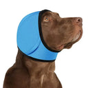 Waterproof dog ear covers for swimming and washing — My Petsworth