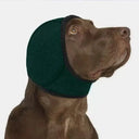 Dog ear muffs shown on a dog's head — My Petsworth
