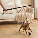 Black dog flirt pole with lure toys for active play, lifestyle photo