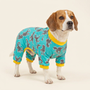 Teal 100% cotton pyjamas for small dogs, studio photo