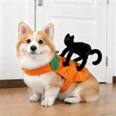 Corgi wearing an orange pumpkin cape with a plush black cat on the back — My Petsworth