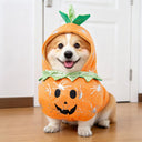 Halloween Costumes