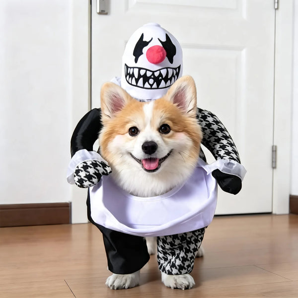 Corgi wearing a plush scary clown rider costume for Halloween — My Petsworth