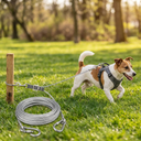 tie-out cable with rust-resistant steel wire for dogs, lifestyle photo