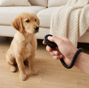Black dog training clicker with adjustable wrist strap, lifestyle photo