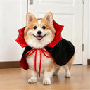 Corgi wearing a black and red vampire cape with a pointed collar — My Petsworth