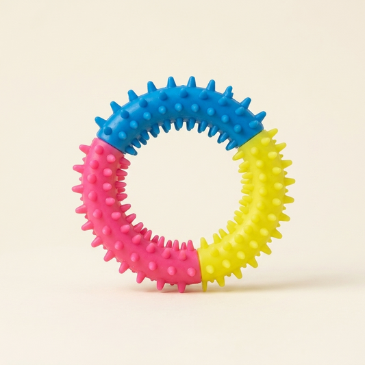 Dog dental chew toy textured rubber ring on cream background — My Petsworth