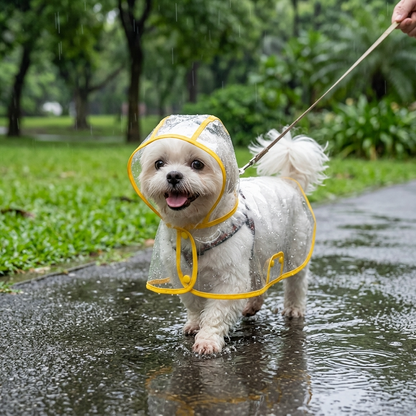 Dog wearing transparent hooded raincoat poncho — My Petsworth