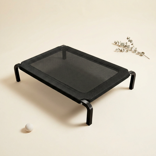 Elevated Dog Bed Black - My Petsworth