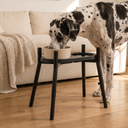 Large dog eating from the elevated feeder in a living room