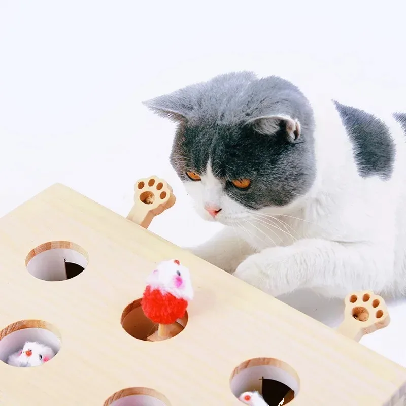 Wooden cat puzzle box with paw holes — My Petsworth