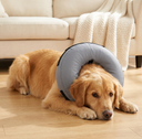 Grey inflatable recovery collar for dogs & cats, lifestyle photo