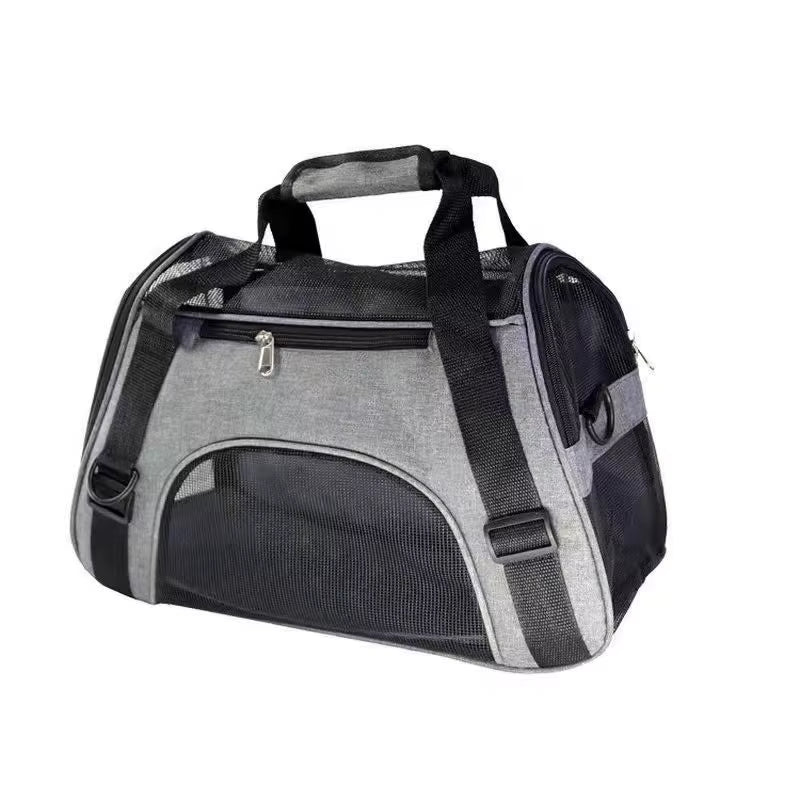 Cavalier King Charles Spaniel in carrier bag – lifestyle