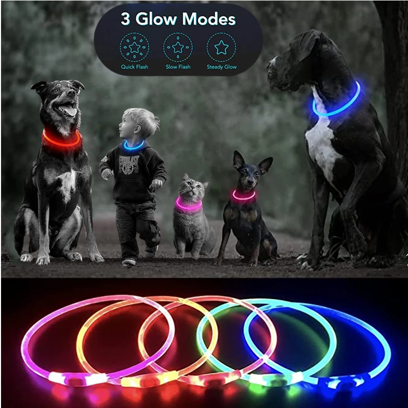 Light up LED dog collar for night walks — My Petsworth