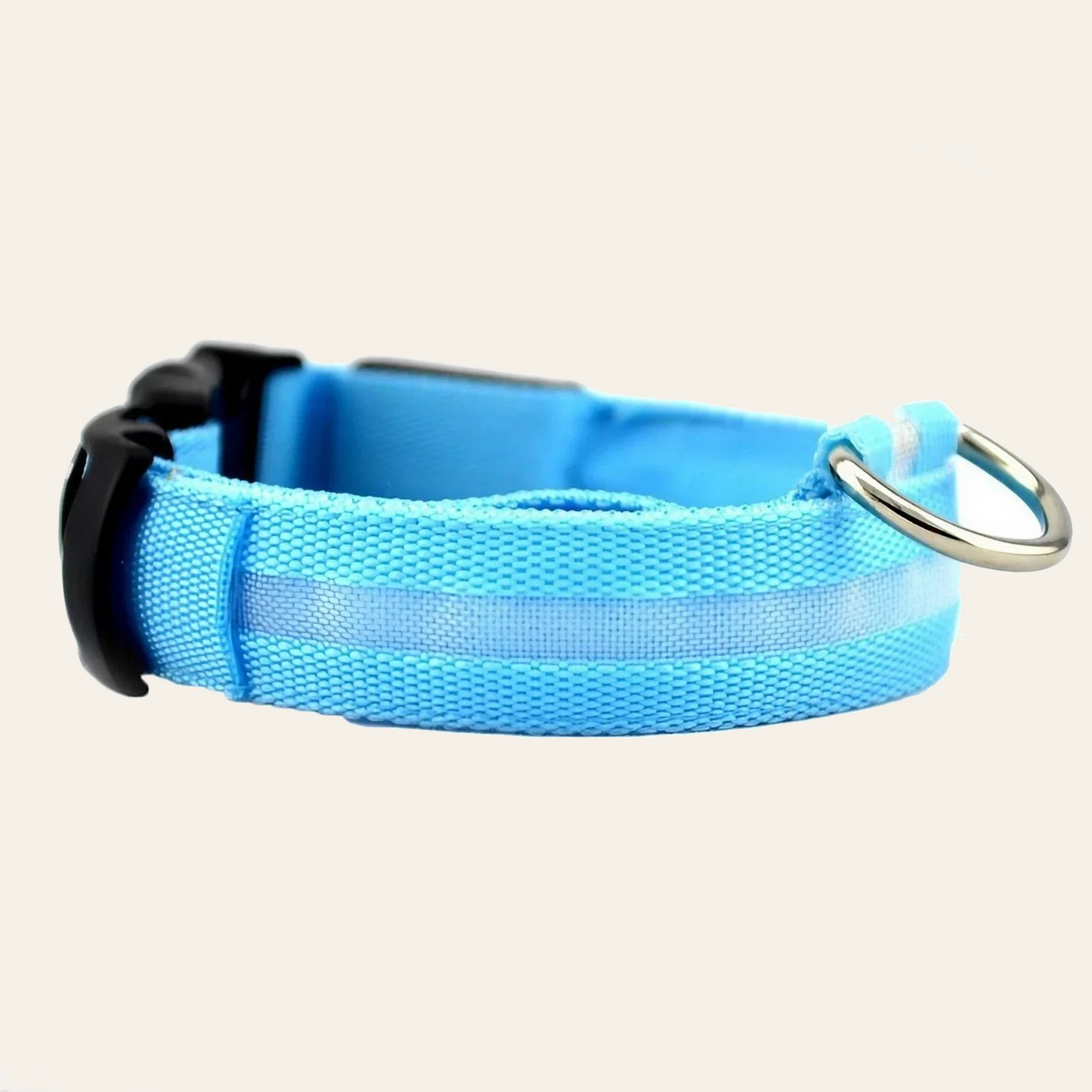 LED dog collar with reflective nylon webbing — My Petsworth