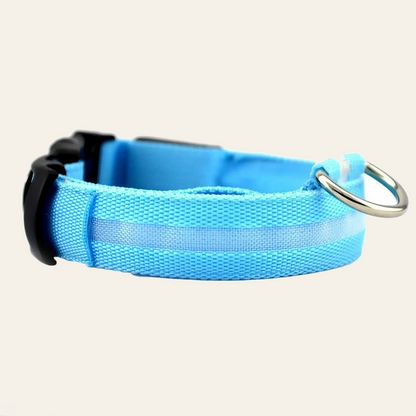 LED dog collar with reflective nylon webbing — My Petsworth