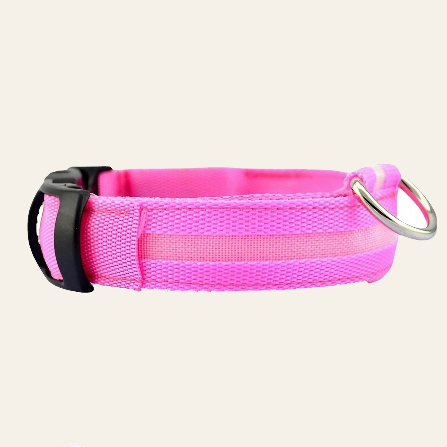 LED dog collar with reflective nylon webbing — My Petsworth