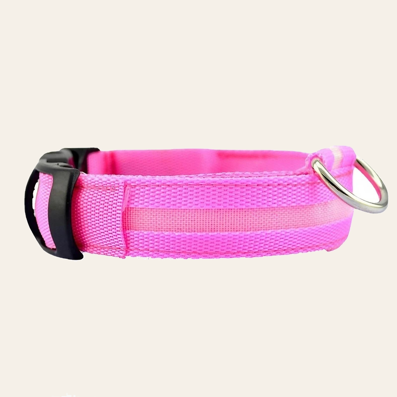 LED dog collar with reflective nylon webbing — My Petsworth