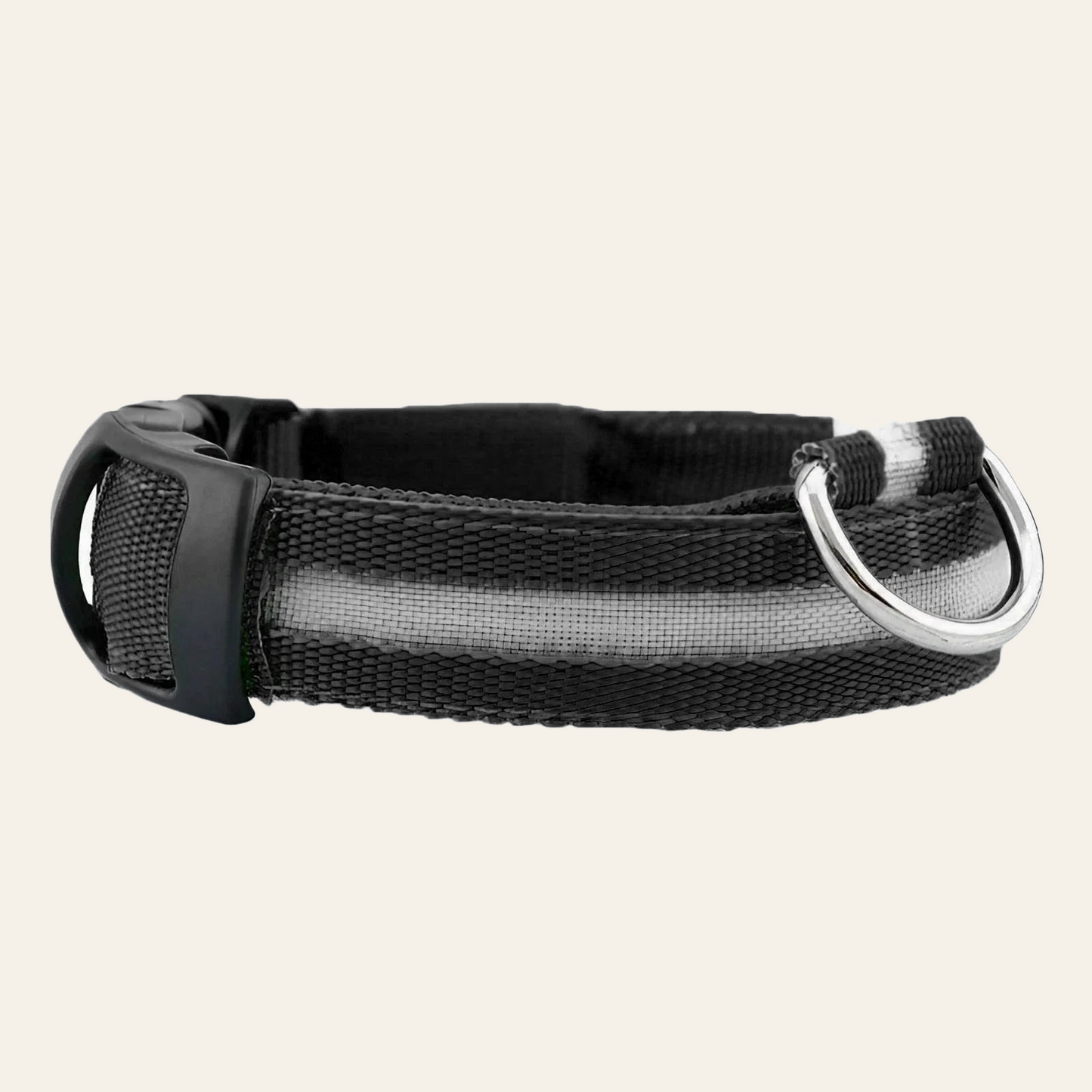 LED dog collar with reflective nylon webbing — My Petsworth