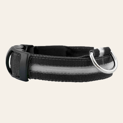 LED dog collar with reflective nylon webbing — My Petsworth