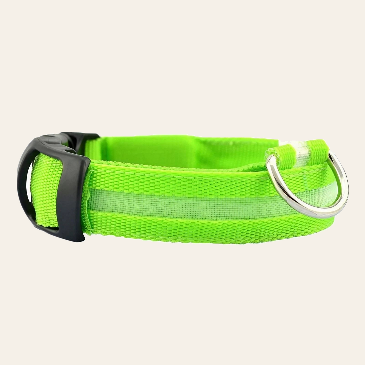 LED dog collar with reflective nylon webbing — My Petsworth