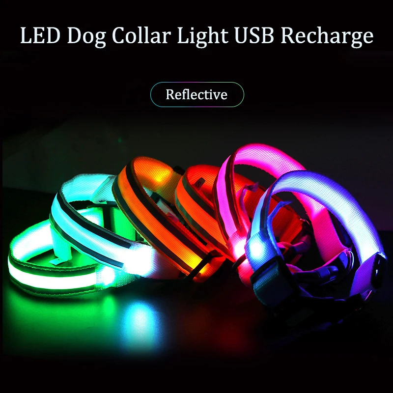 LED dog collar with reflective nylon webbing — My Petsworth