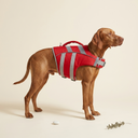 Dog Life Jacket Waterproof with Reflective Stripes - Red in Use - My Petsworth