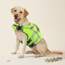Dog Life Jacket Waterproof with Reflective Stripes - Green - My Petsworth