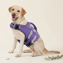 Dog Life Jacket Waterproof with Reflective Stripes - Purple - My Petsworth