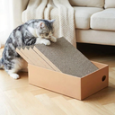 Cat using the cardboard scratching box at home, lifestyle photo