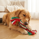 Dog with the Candy Cane Bow Christmas rope chew toy, lifestyle photo