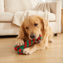 Dog with the Knot Bone Christmas rope chew toy, lifestyle photo