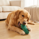 Dog with the Pine Cone Christmas rope chew toy, lifestyle photo