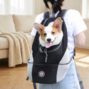 Black portable dog carrier bag for small dogs, lifestyle photo