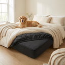 Dog lying on a bed fitted with the waterproof mattress protector