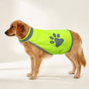 Golden retriever wearing the hi-vis safety vest, side view — My Petsworth
