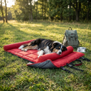 Portable Dog Bed - Waterproof Folding Travel & Camping Bed