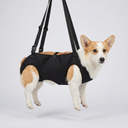 Adjustable dog lift harness for senior dogs — My Petsworth