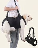 Adjustable dog lift harness for senior dogs — My Petsworth