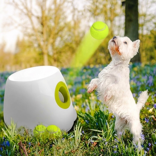 Automatic ball launcher for dogs - My Petsworth
