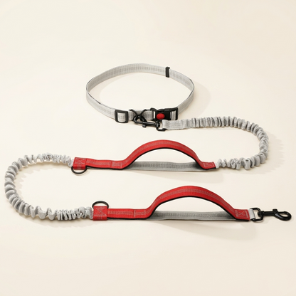 Hands-free dog lead with adjustable waist strap - My Petsworth