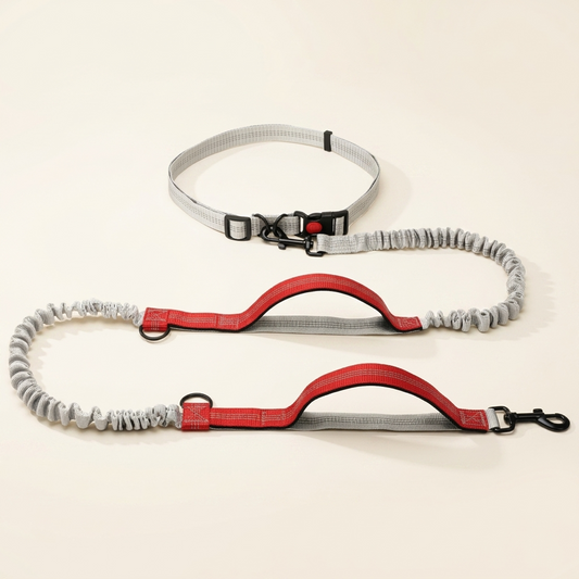Hands-free dog lead with adjustable waist strap - My Petsworth