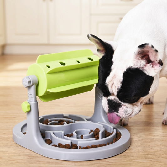 Dog treat puzzle toy interactive enrichment feeder studio shot